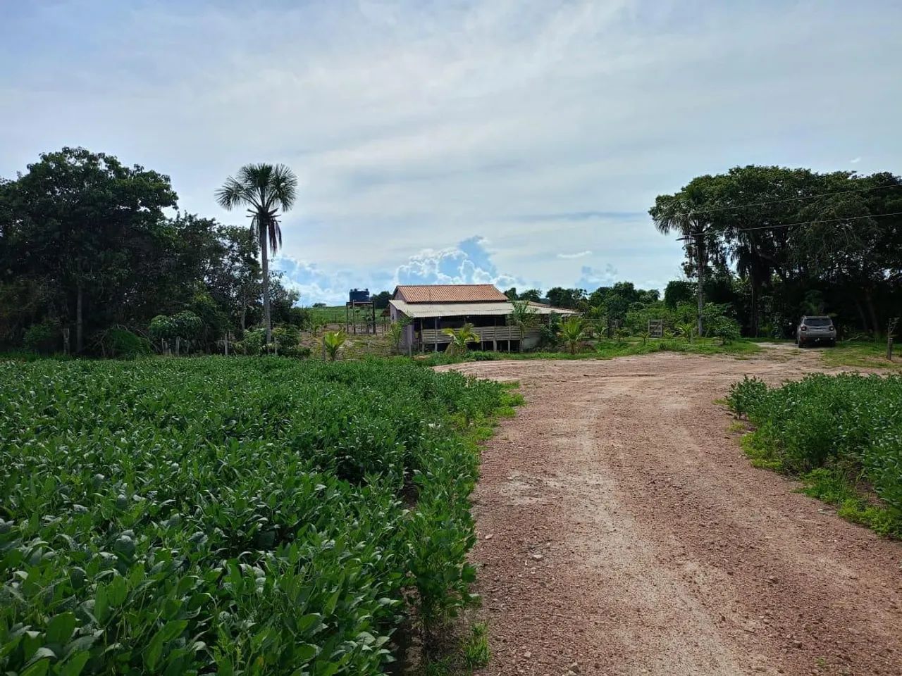 Ótima fazenda em Edéia  - Foto 4