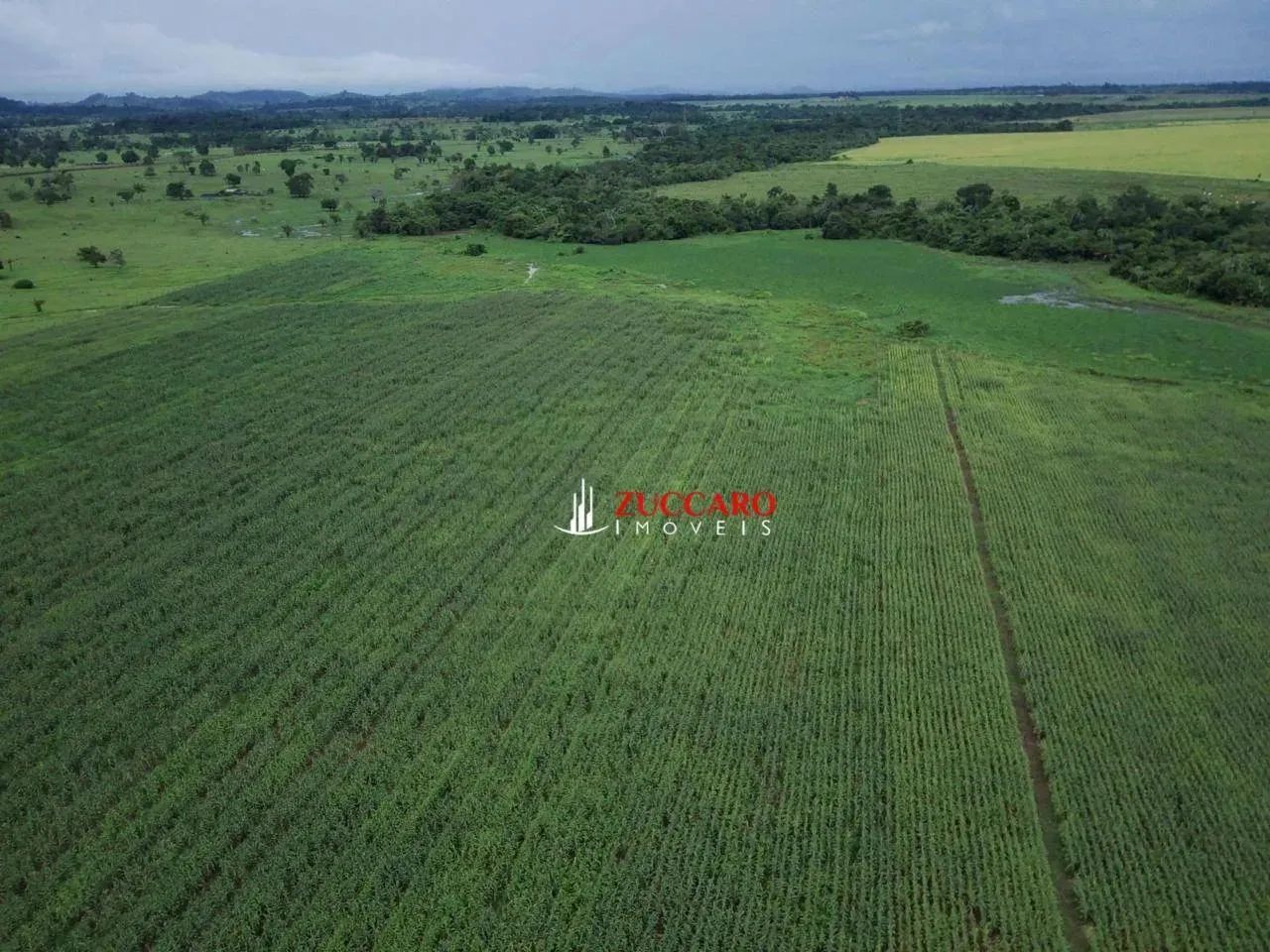 Fazenda com 5 dormitórios à venda, 5577619 m² por R$ 34.000.000,00 - Fazenda Luana - Campo - Foto 3