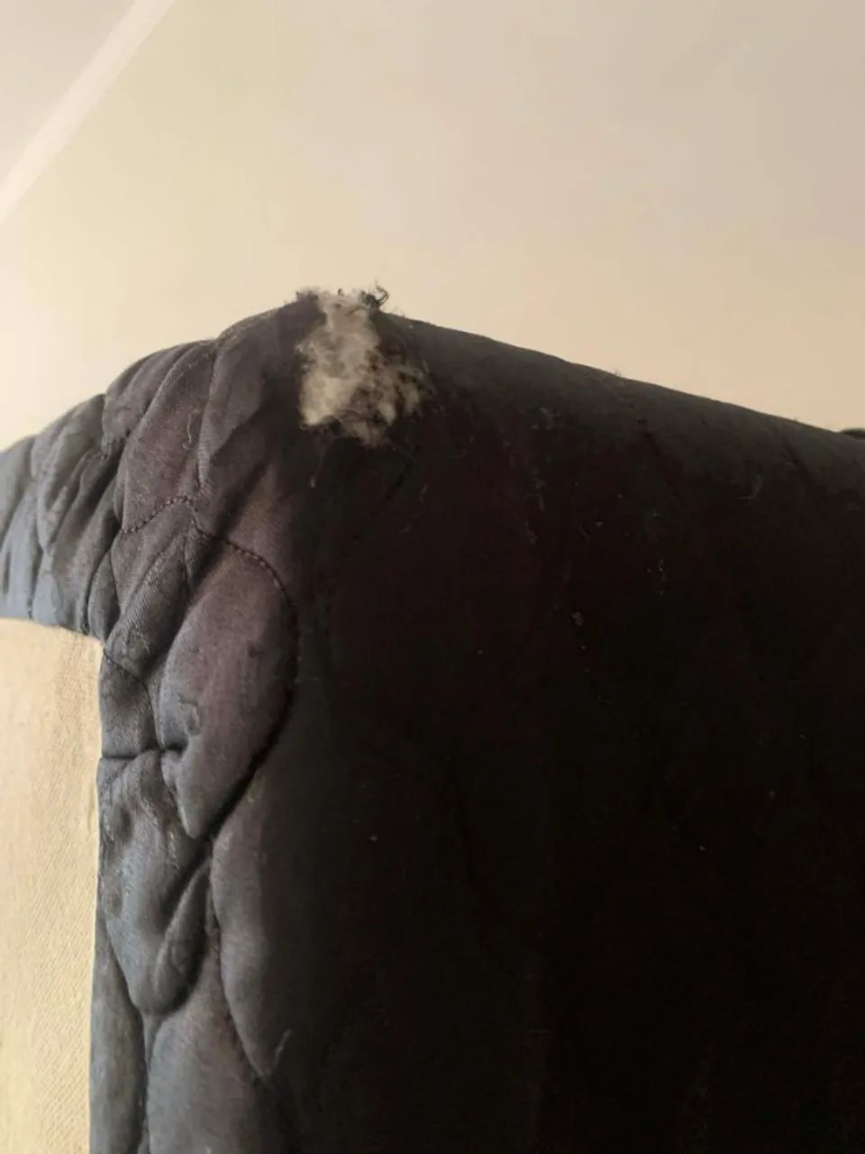 Cama Box - Base - Foto 2