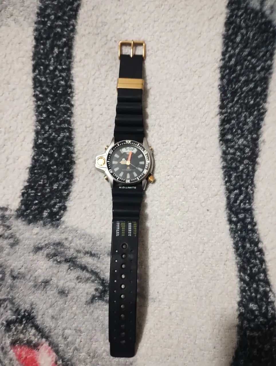 Citizen Aqualand Co22 