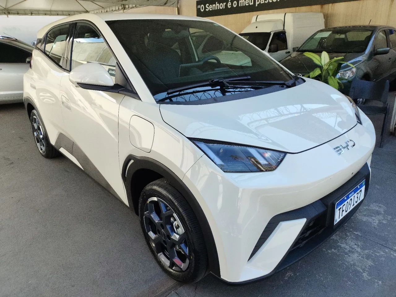 BYD Dolphin Mini (Elétrico) 2027 - Foto 3