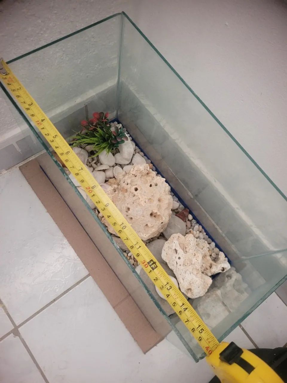 Aquario  - Foto 4