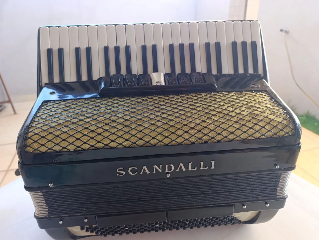 Sanfona, acordeon 