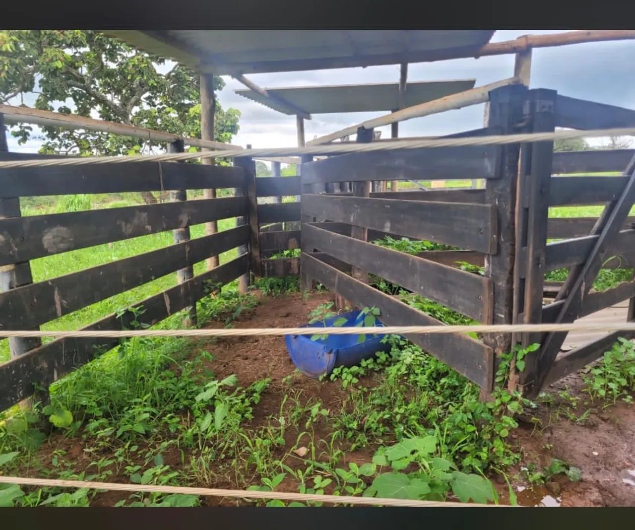 Sítio  a venda próximo Uberlândia 1.200.000,00 - Foto 4