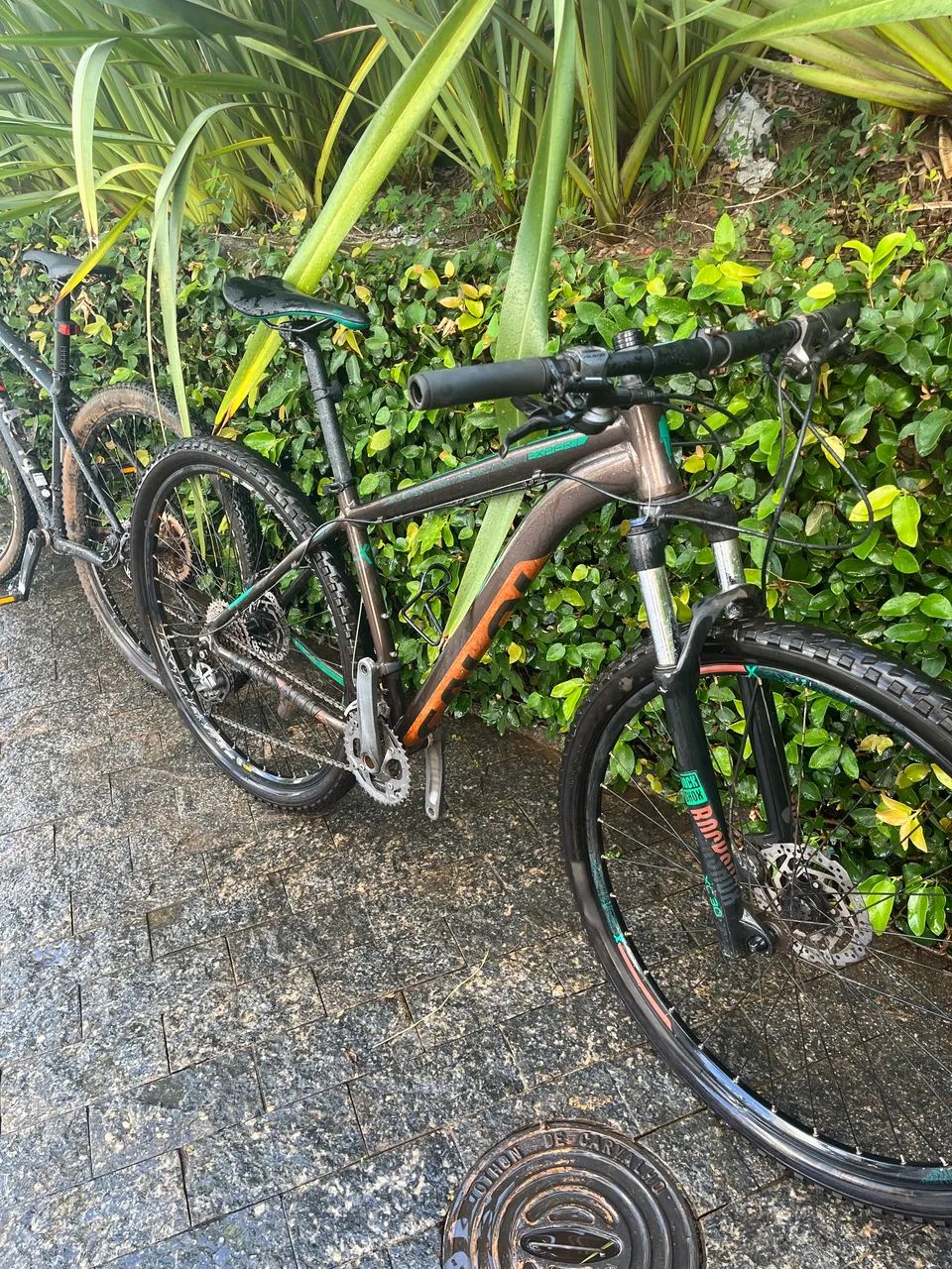 CALOI EXPLORER EXPERT - 2020