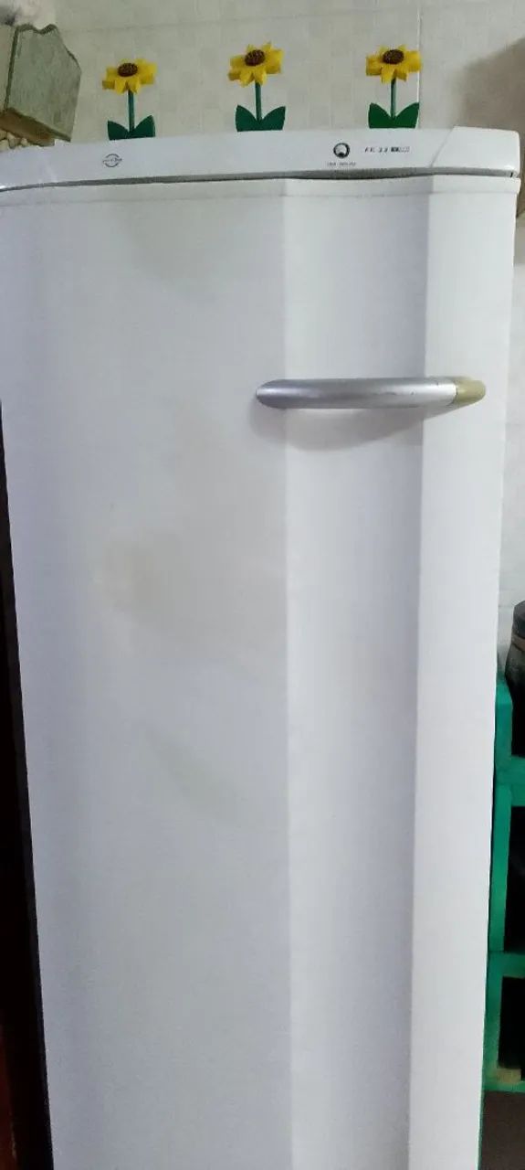 Freezer vertical Eletrolux 173L - Foto 3