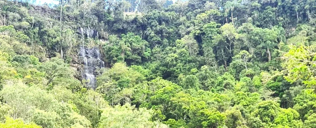 Um Paraíso em Alfredo Wagner- Serra Catarinense - Foto 4