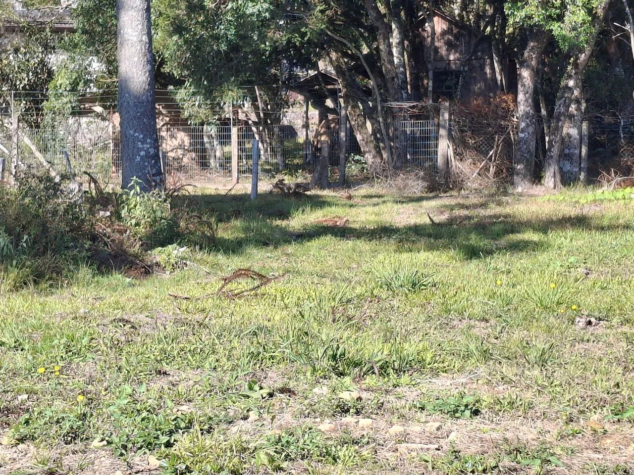 Terreno  - Foto 3