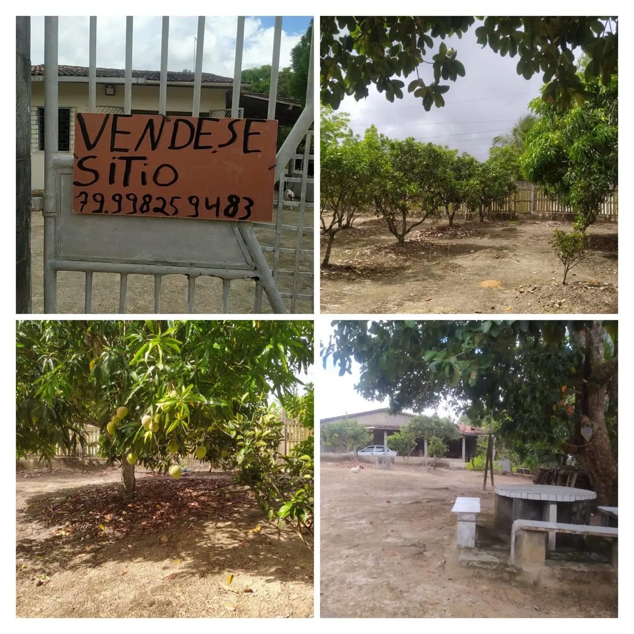 Sítio em salgado