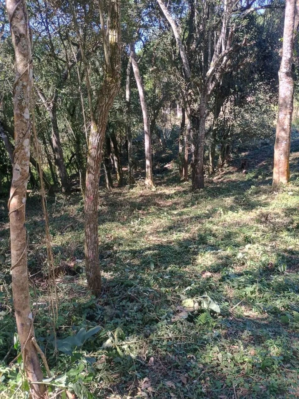Vende-se terreno em Ibiuna  - Foto 3