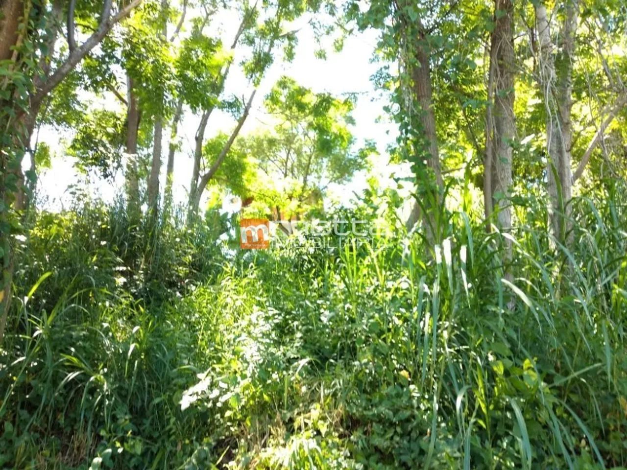 Terreno à venda, 480 m² no Saco Grande - Florianópolis/SC - Foto 2