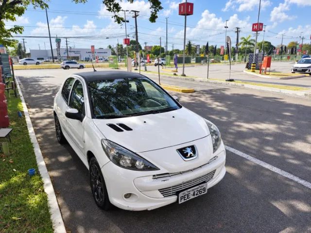 Peugeot 207 207 XS 1.6 FLEX 16V 5P 2012