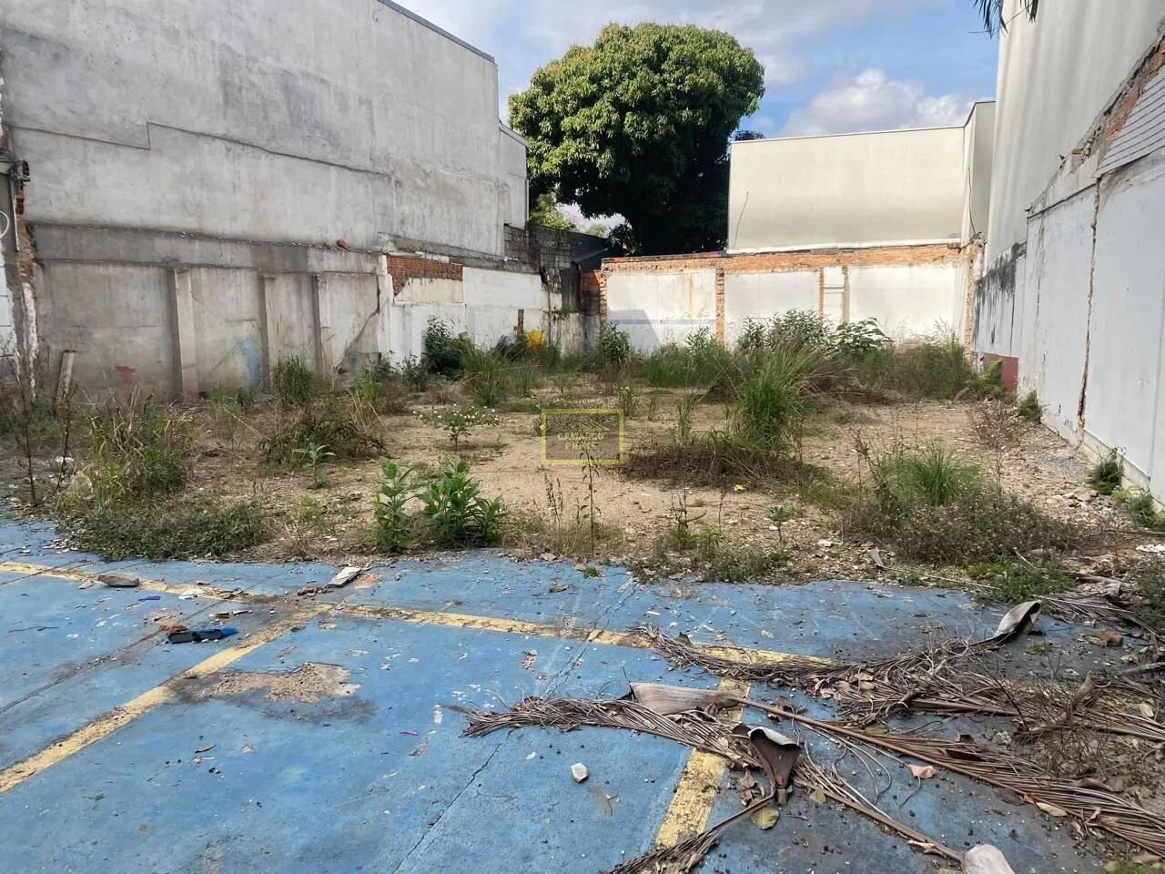 Terreno Para Locação Na Rebouças - Foto 4