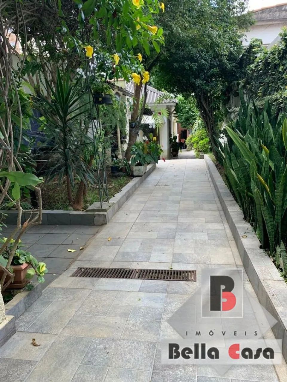 Terreno 385m² - Rua Jaboticabal - Aceita proposta - Foto 5