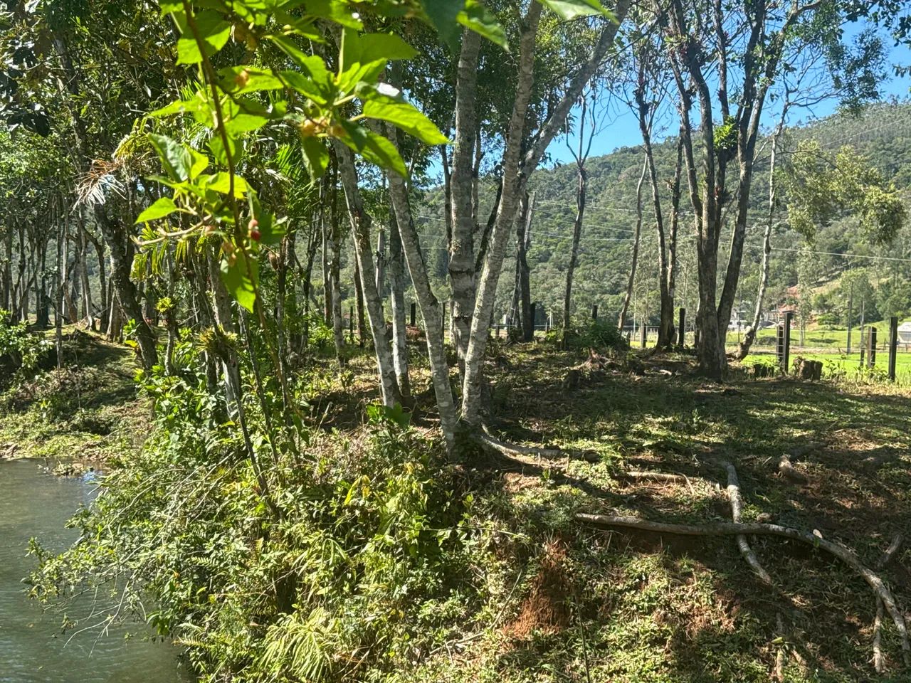 Vende-se sítio com chalé  - Foto 5