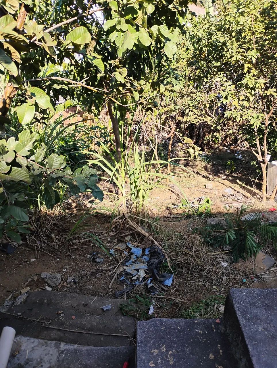Venda  - Foto 5