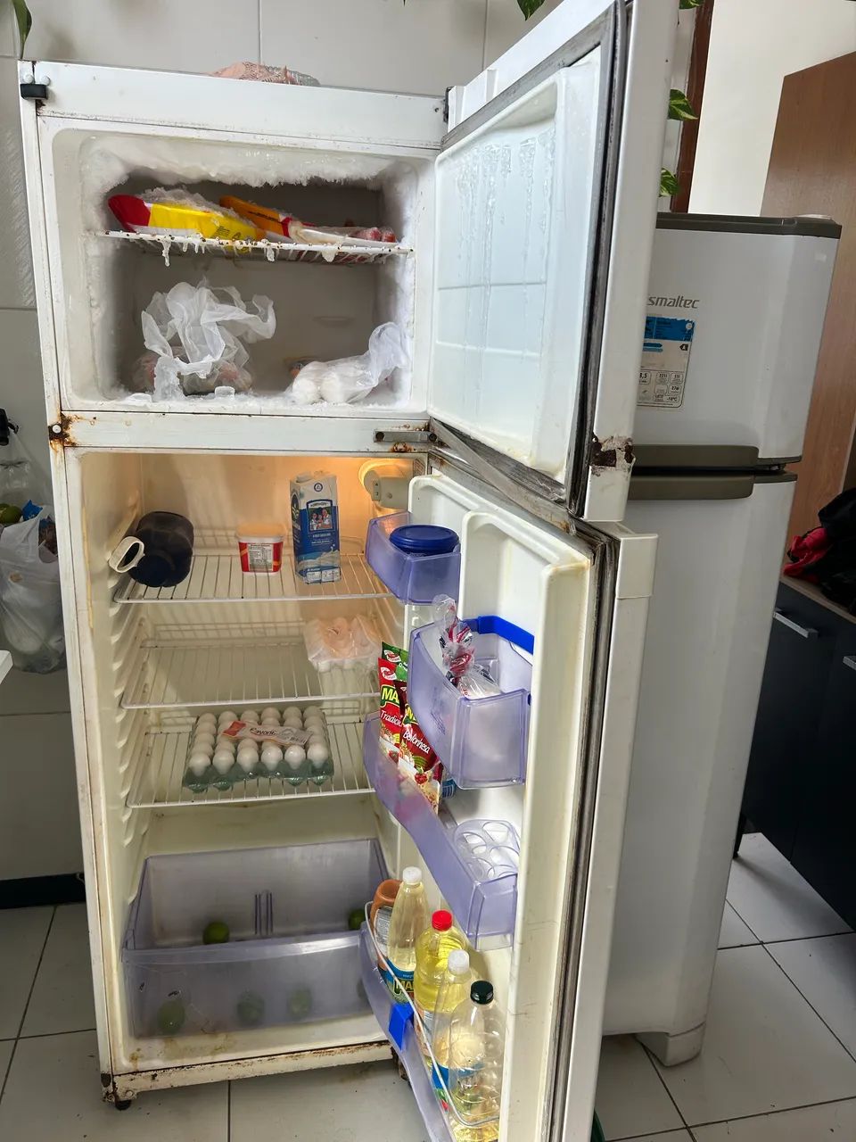 Geladeira pra concerto 