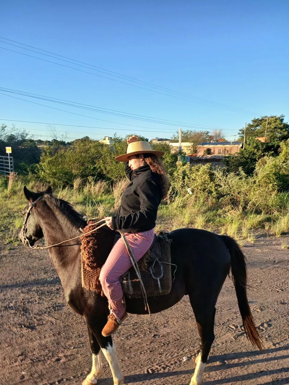 animal de estimasao cavalo  - Foto 4