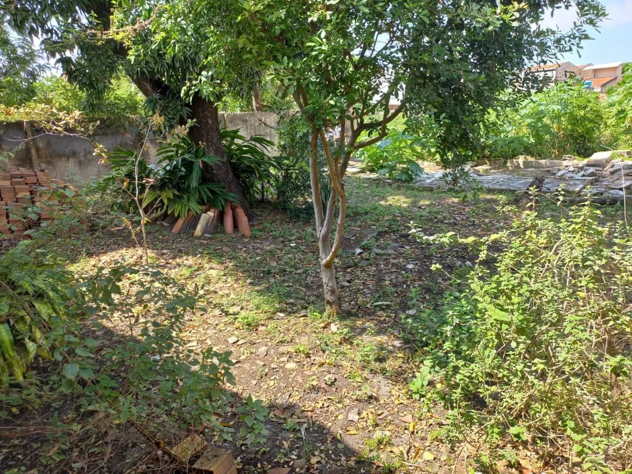 Terreno no Siqueira Campos - Foto 5