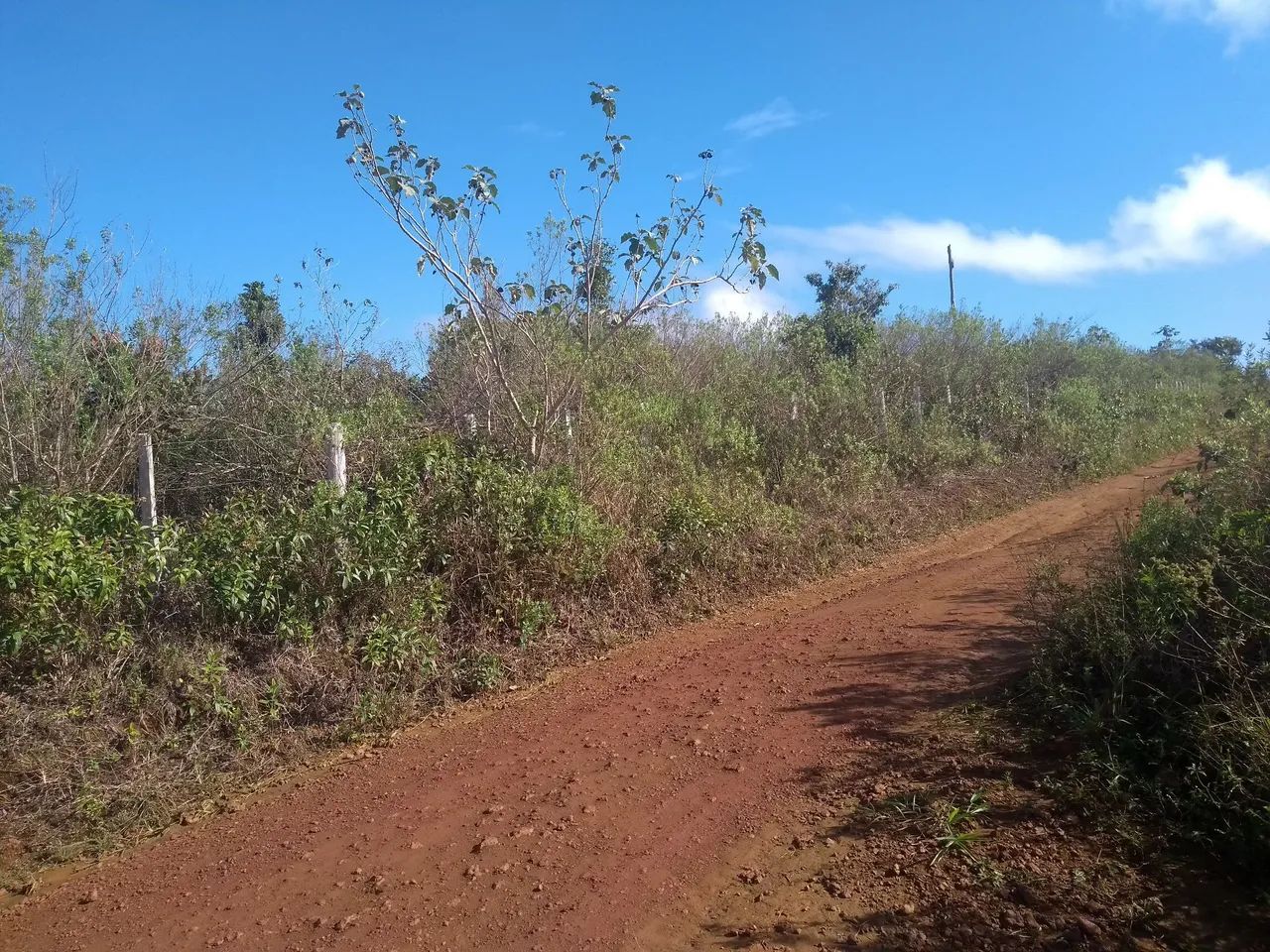 OPORTUNIDADE Sítio Recanto da Fé - Foto 3