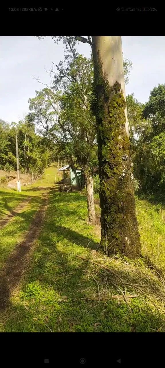 Vendo terreno Ibiúna bairro dos alves  - Foto 5
