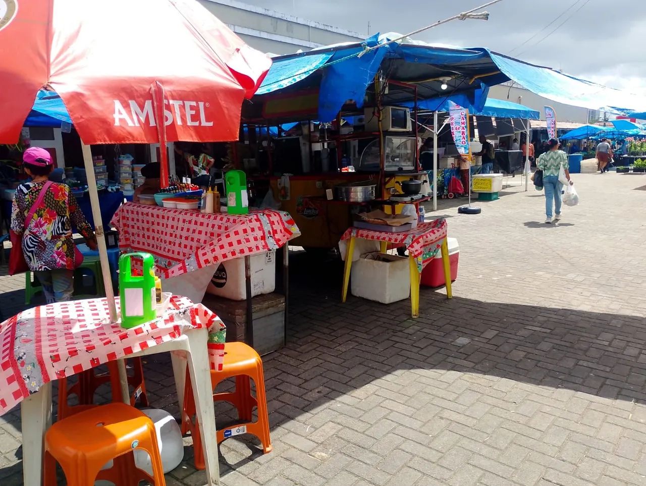 Carrocinha de lanche completa 