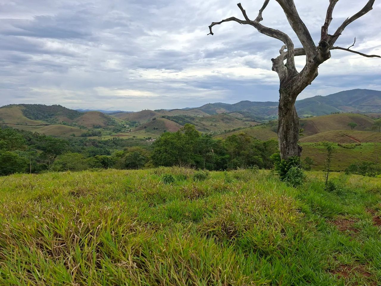 Foto - Belmiro Braga - 