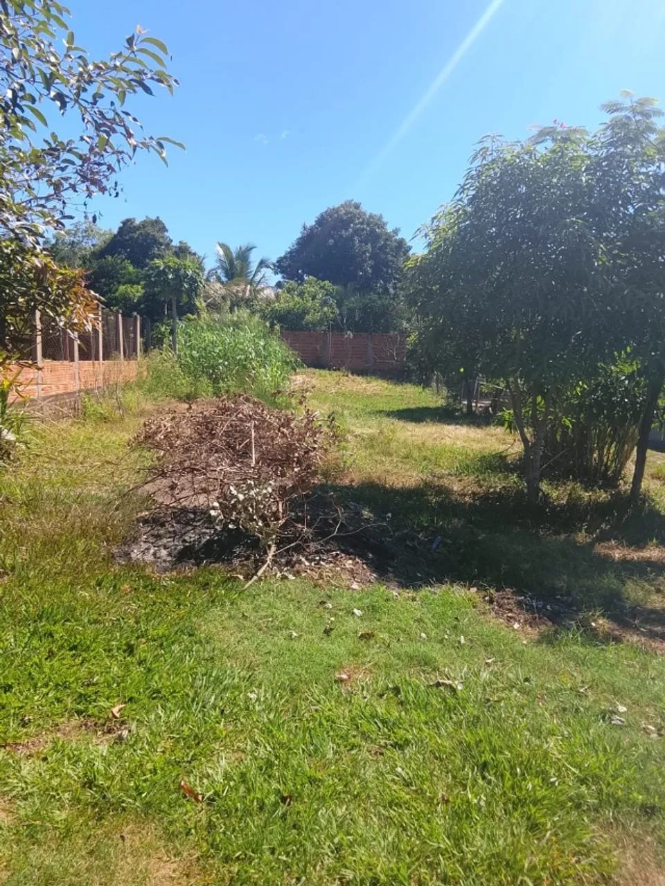 Terreno em piraputanga Ms - Foto 4
