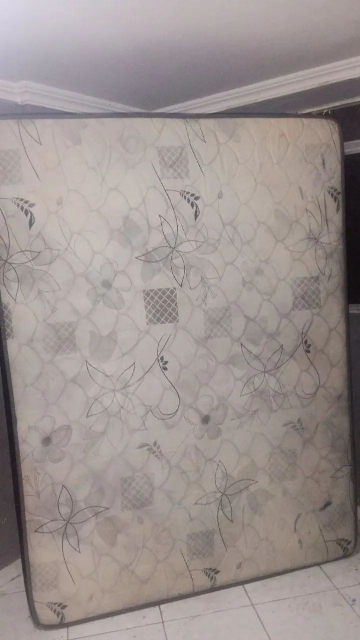 Cama