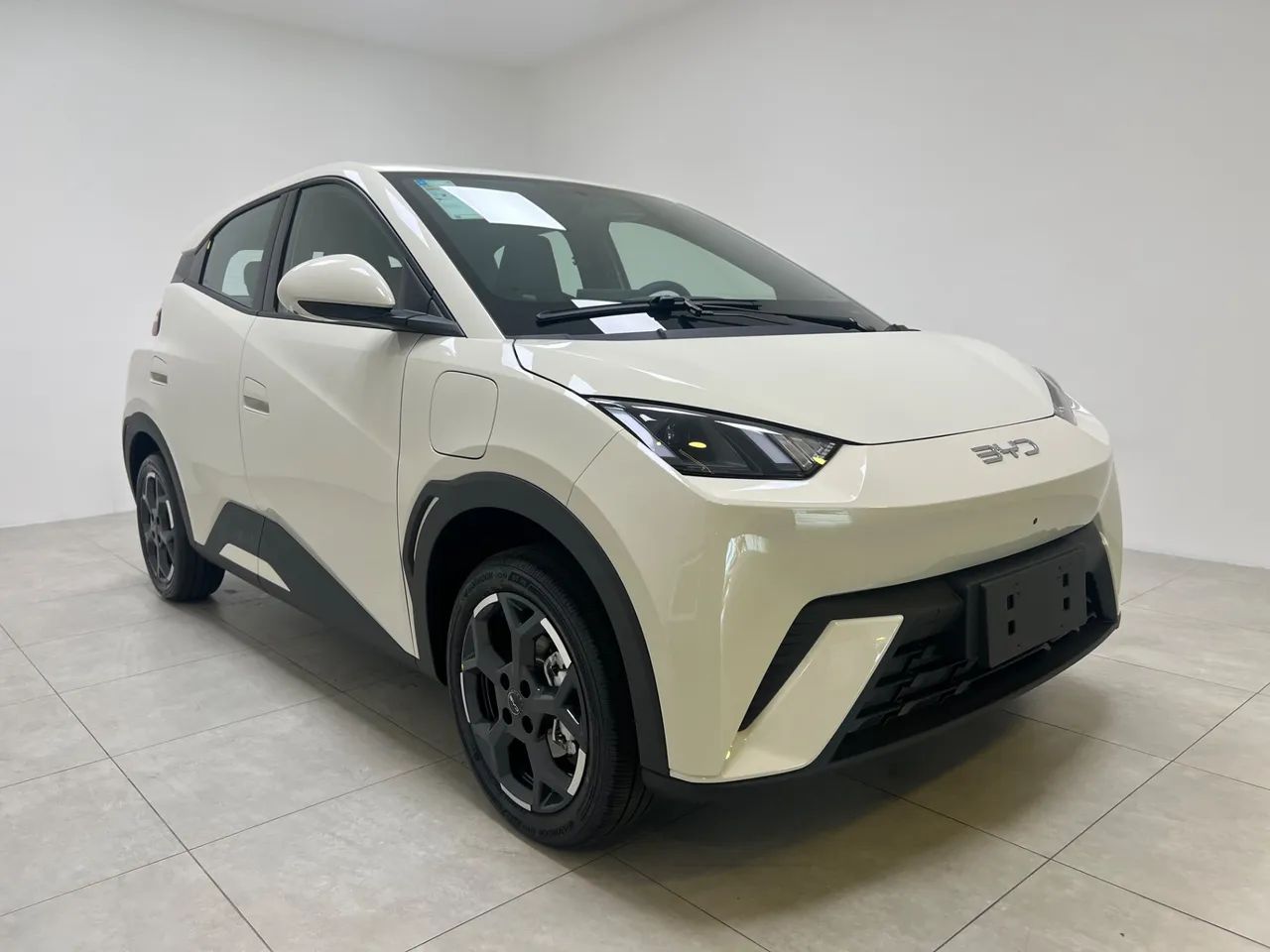 BYD Dolphin GS (Elétrico) 2027 - Foto 3