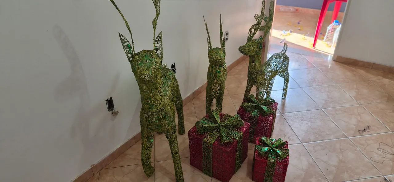 Renas natal