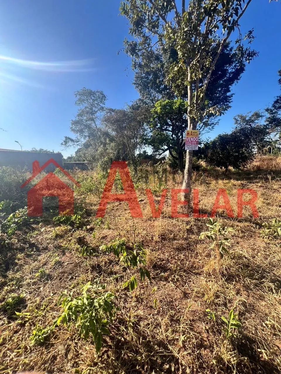 Terreno para venda, Morada Nova, Uberlândia - TE961 - Foto 4