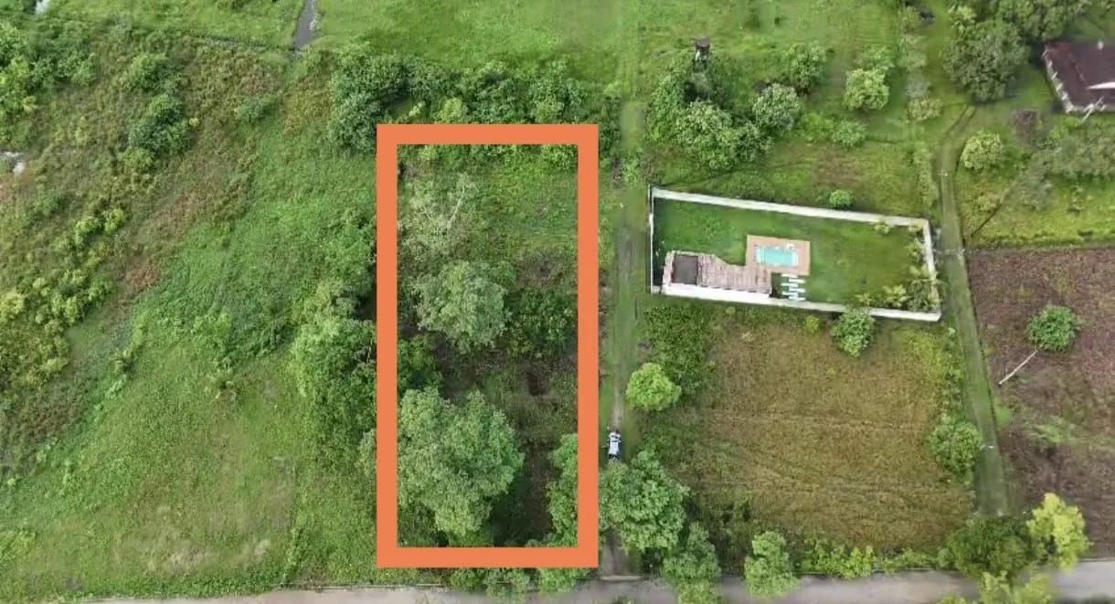 Lotes Parcelado União dos Palmares | Fazenda Sementeira - Foto 2