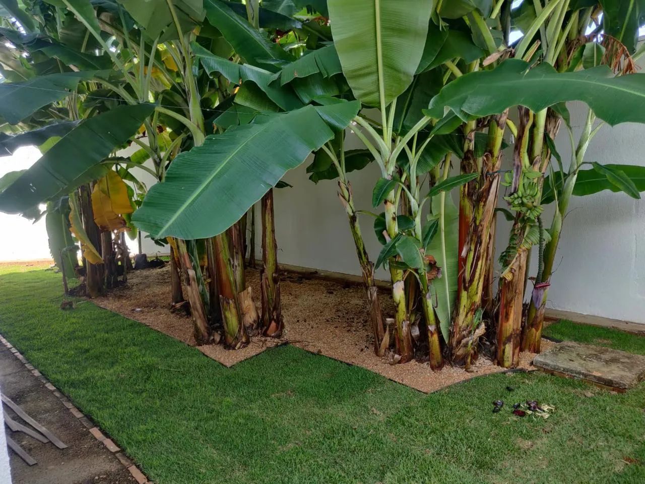 Casa 2q na 403 Sul - Foto 4