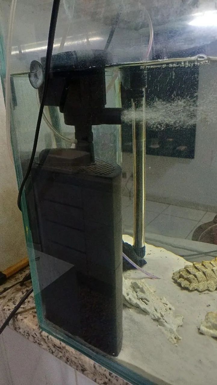 Aquario - Foto 3