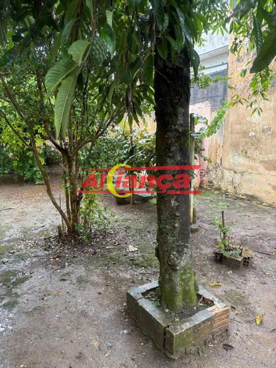 TERRENO 150 METROS, MURADO - Foto 4