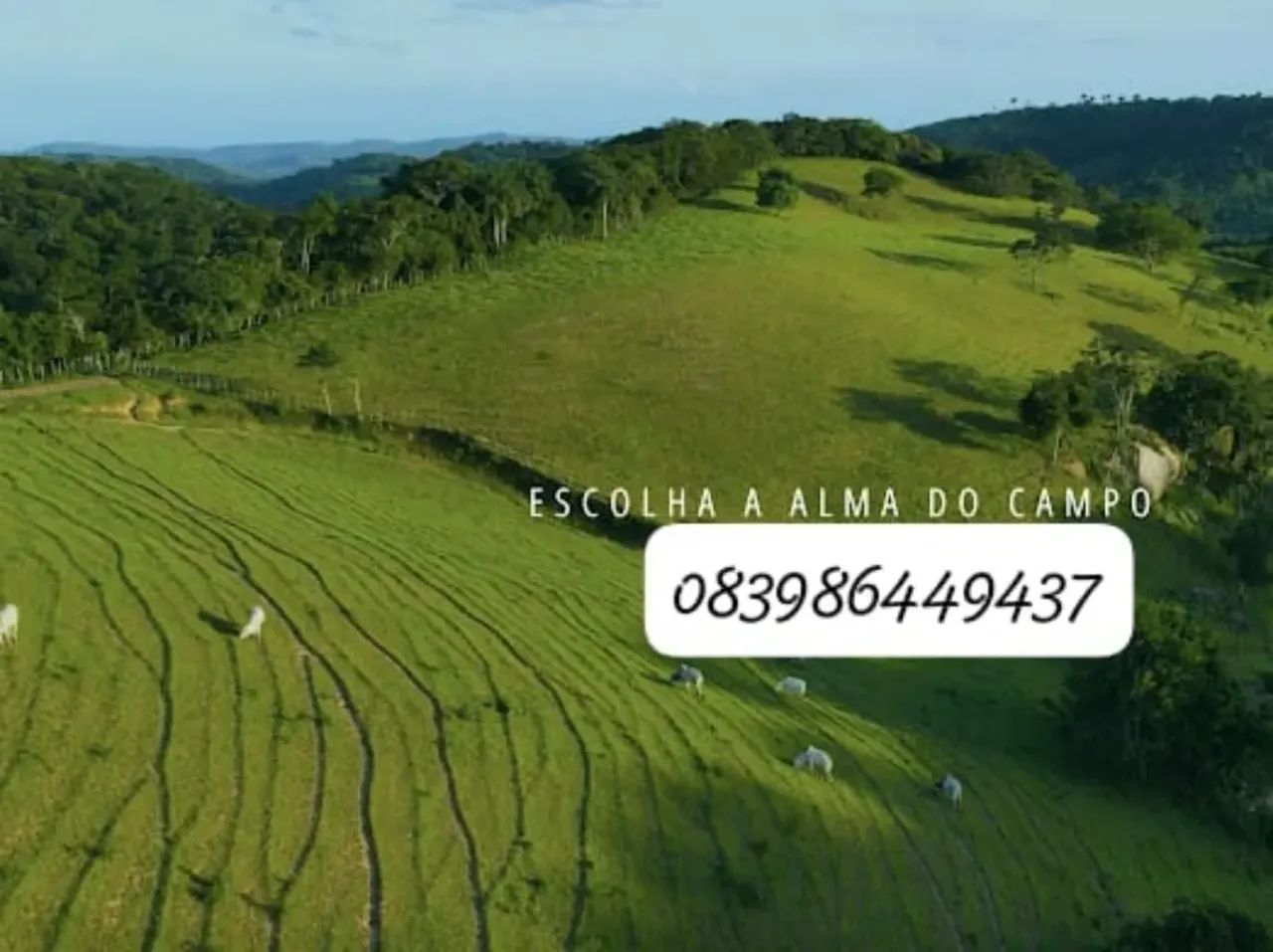 Condomínio Bananeiras - Foto 2