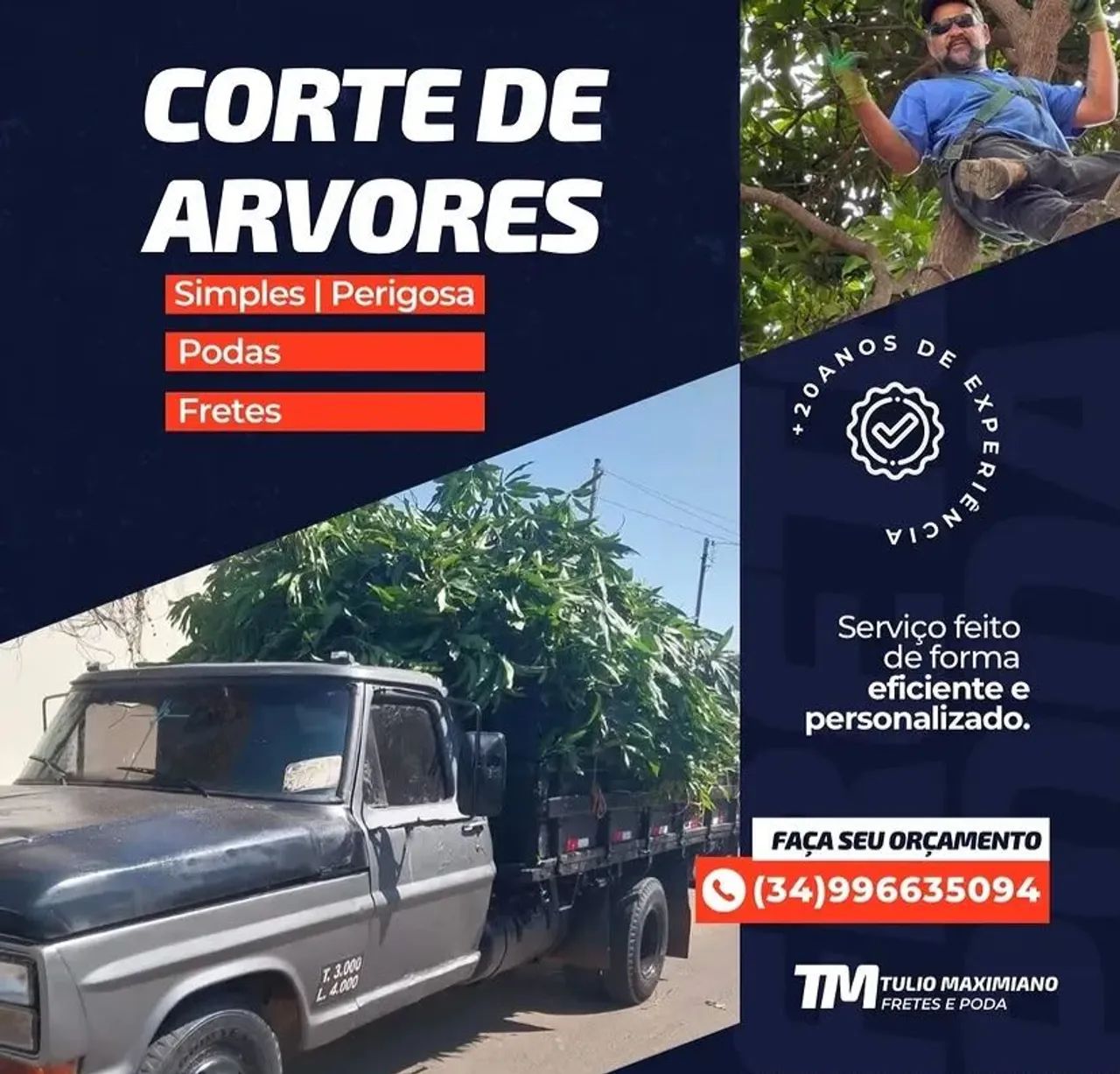 Túlio cortes de árvores  - Foto 2