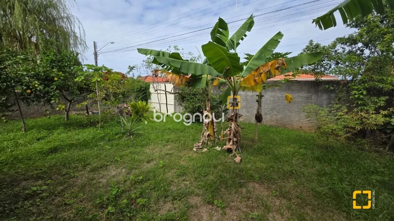 Terreno no Bairro Carianos - Foto 3