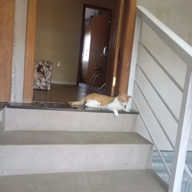 CASA 3° ANDAR - Foto 3