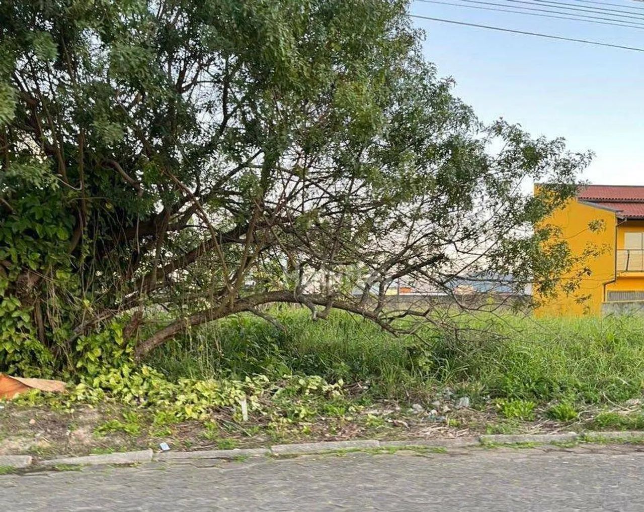 Terreno à venda, 720 m² - Carianos - Florianópolis/SC - Foto 3