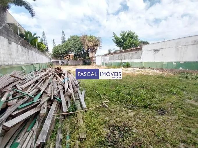 Terreno Campo Belo - Foto 4