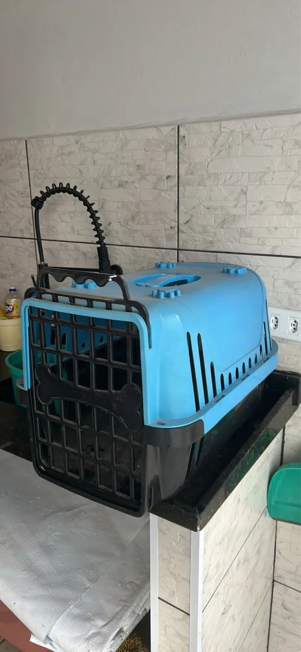 Transporte para cachorro e gato 