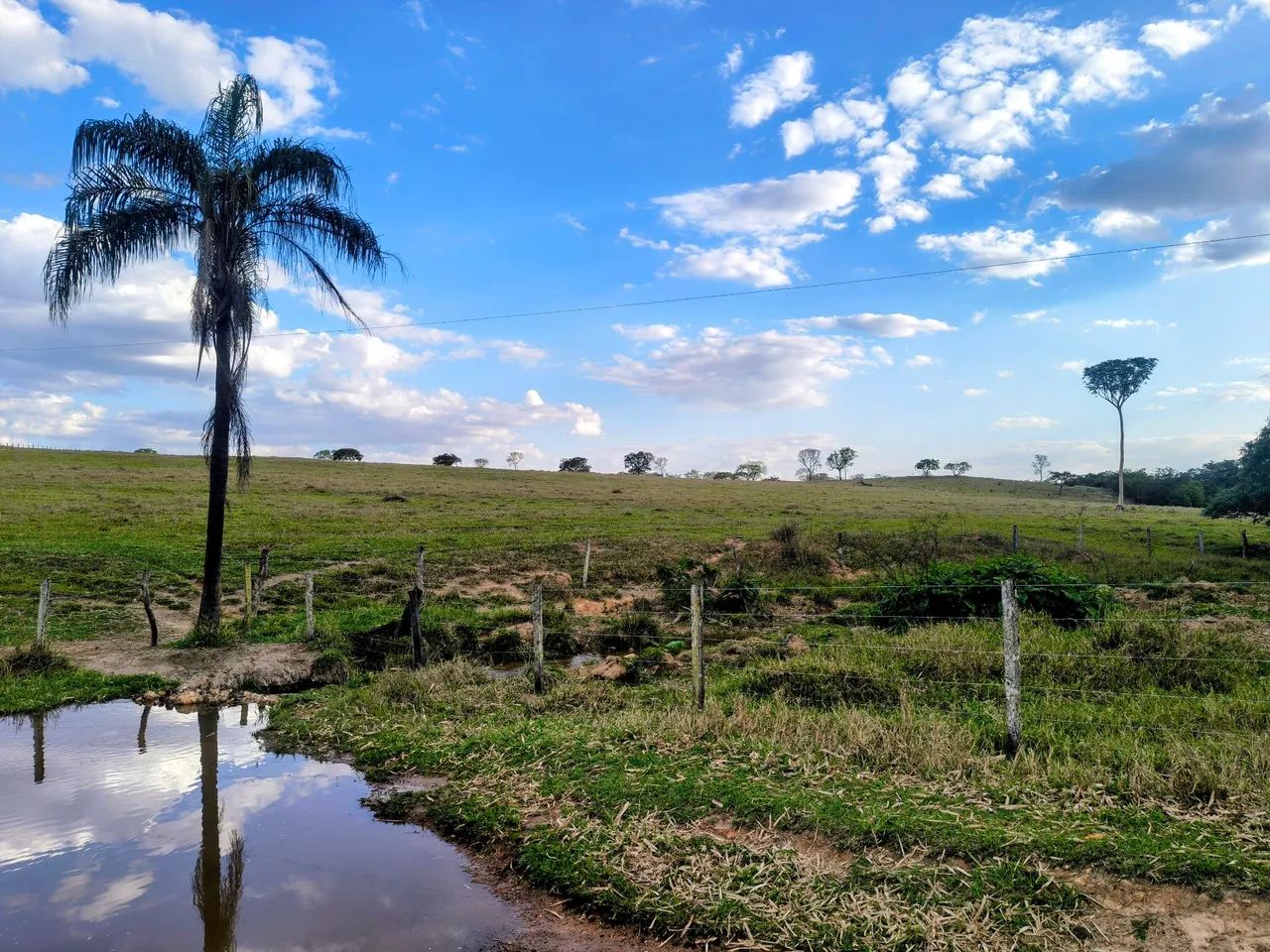 Fazenda Extra 165 Alqueires! - Foto 4