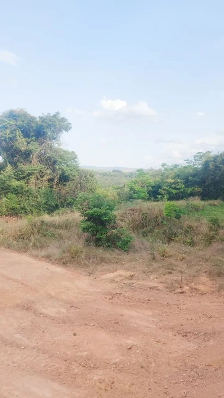 Terreno / Chacara - Foto 4