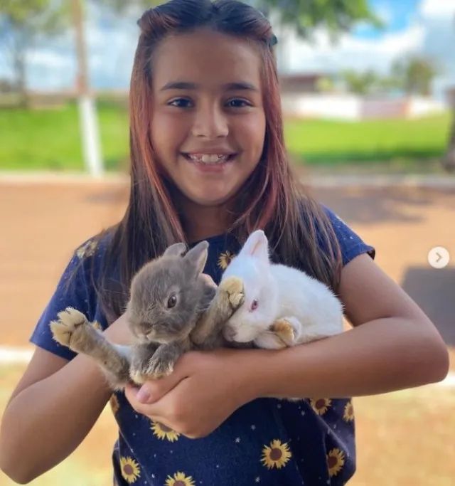 Coelhos Gigantes e Nova Zelândia entre outras raças - Foto 6