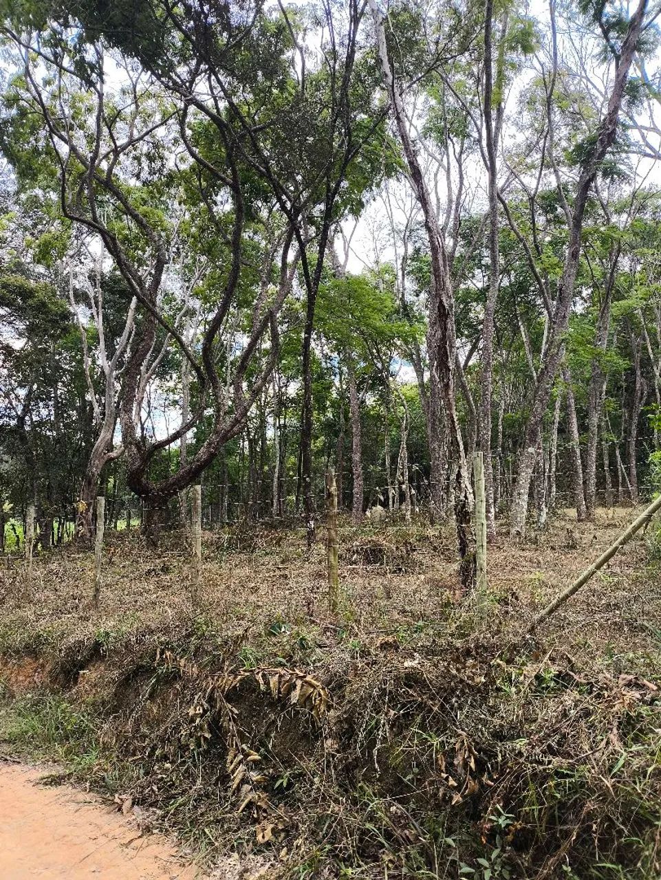 Terreno próximo a Ravena - Foto 4