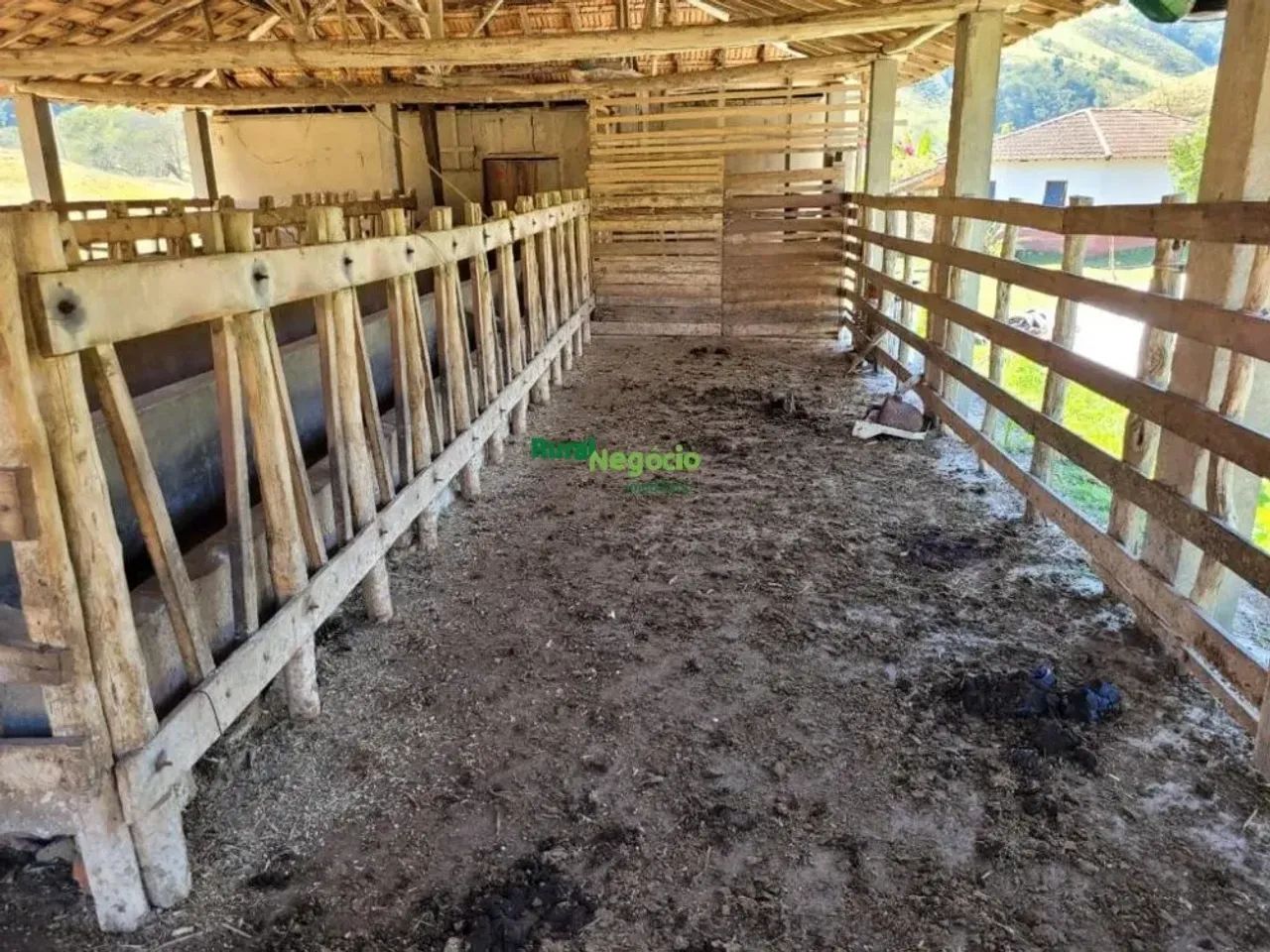 SÍTIO FORMADO COM ESTRUTURA PARA LEITE OU CORTE EM LORENA-SP - Foto 4