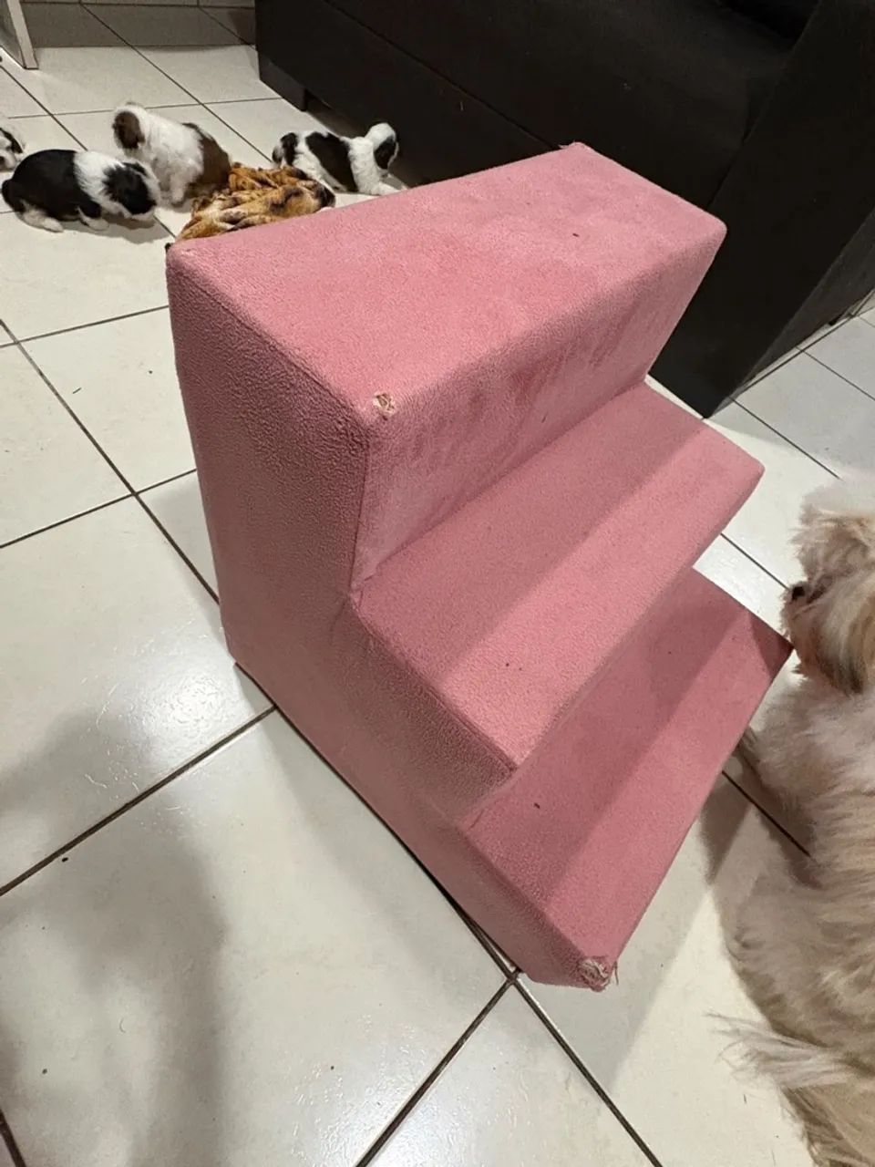 Escadinha para pet 
