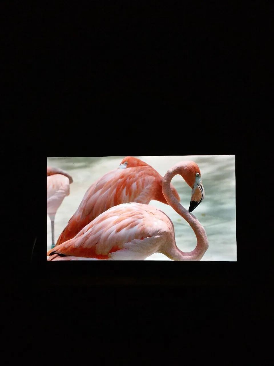 Smart TV TCL 40 Polegadas Full HD  - Foto 4